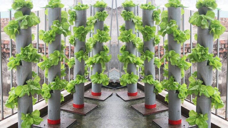This simple gardening technique transforms PVC pipes into a gorgeous watering system…