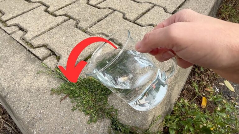 This simple method makes weeds vanish instantly, leaving your garden spotless…
