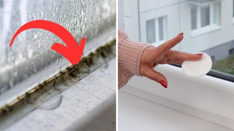 This simple spray makes mold vanish from windows… and it won’t return!