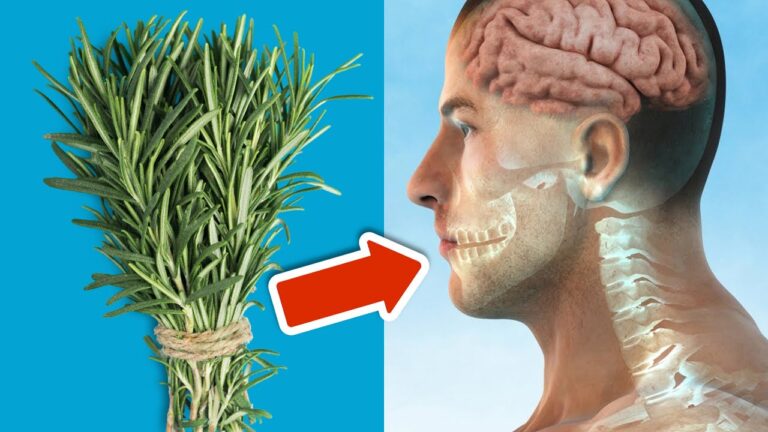 Discover 5 Amazing Benefits of Eating Rosemary Daily for Your Health and Wellness