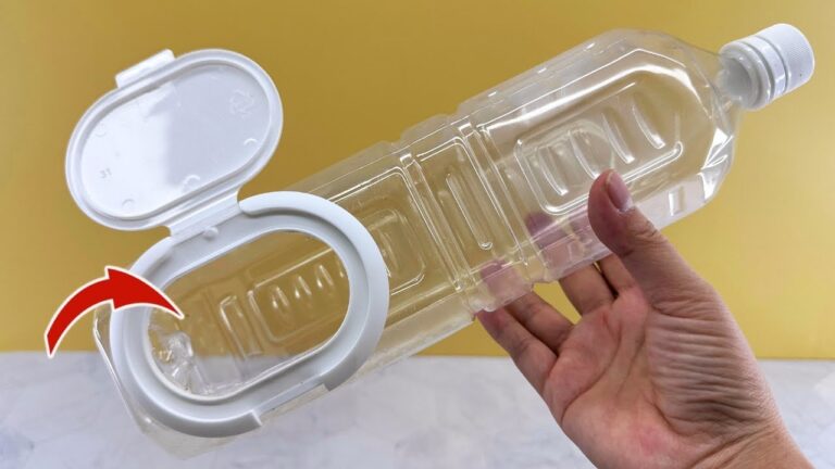 4 Creative Ways to Reuse Plastic Bottles You Need to Try Today!