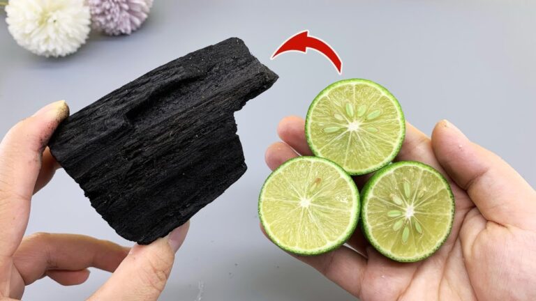 10 Ways Mixing Lemon and Charcoal Saves You Money at the Market!