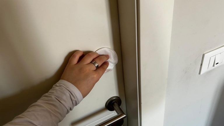 The SPL Method to Make Wooden Doors Look New Again: How to Shine Bright