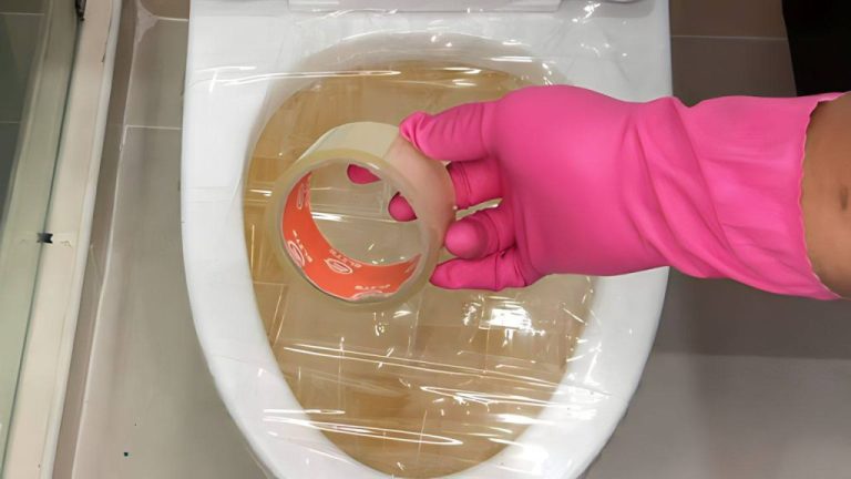 Clogged Toilets? Here’s the No-Cost Trick Plumbers Use to Fix It!