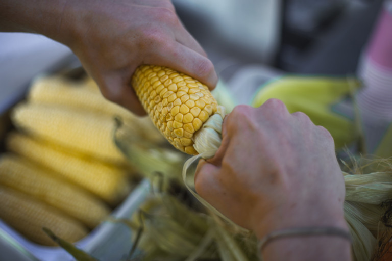 11 Creative Uses for Corn Husks You Need to Try