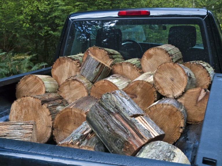 10 Clever Tips for Scoring Free Firewood