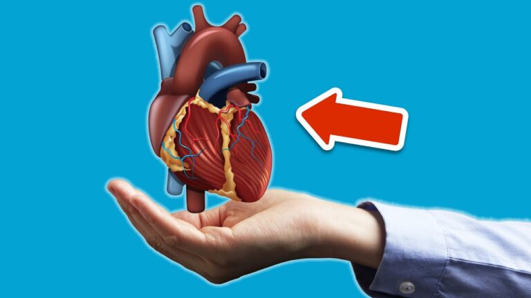 7 Early Signs of Heart Disease You Must Never Ignore!