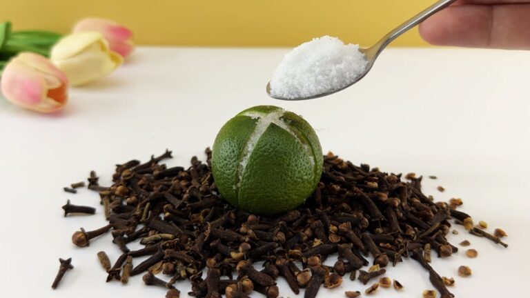 5 Miracle Recipes to Freshen Your Home and Keep Bugs Away!