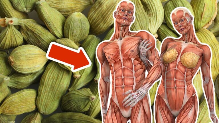 10 Surprising Benefits of Eating Cardamom Every Day for Your Health