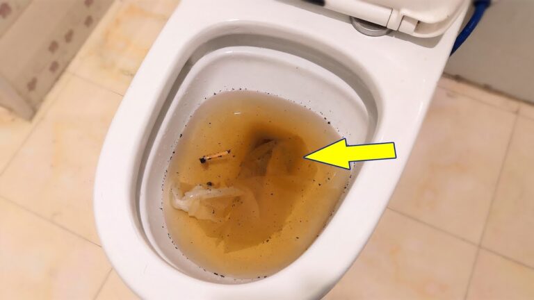 3-Minute Trick to Unclog Your Toilet for Free and Easy Relief!