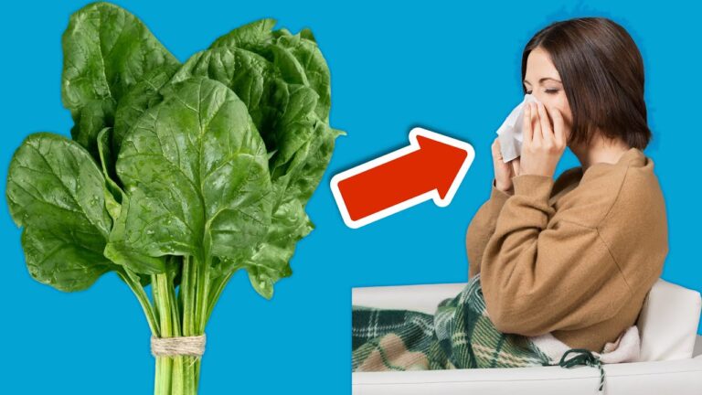 Boost Your Immune System: 6 Foods to Never Feel Sick Again! 💥