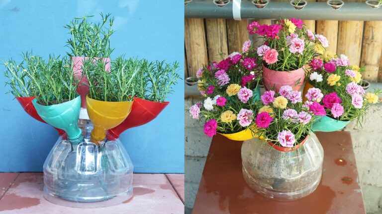 10 Creative Ways to Recycle Plastic Bottles for Stunning Portulaca Gardens