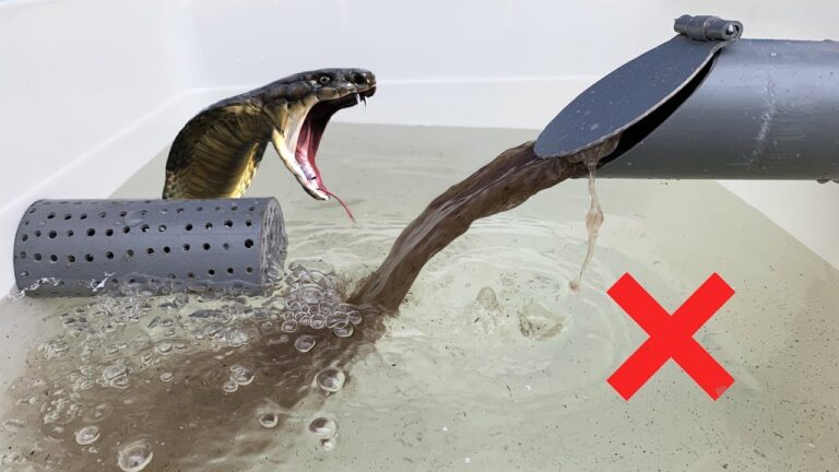 7 Genius Ways to Treat Wastewater with Paint Cans and PVC Pipes
