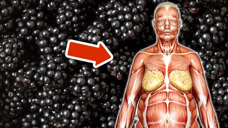 Discover 7 Shocking Benefits of Eating Blackberries Every Day!