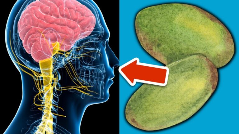 7 Foods That Heal Nerve Damage You Didn’t Expect! Discover the Surprising Benefits Today!