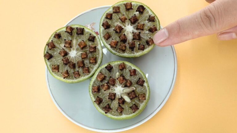 Discover 5 Amazing Benefits of Putting Cloves in a Lemon You Won’t Believe!