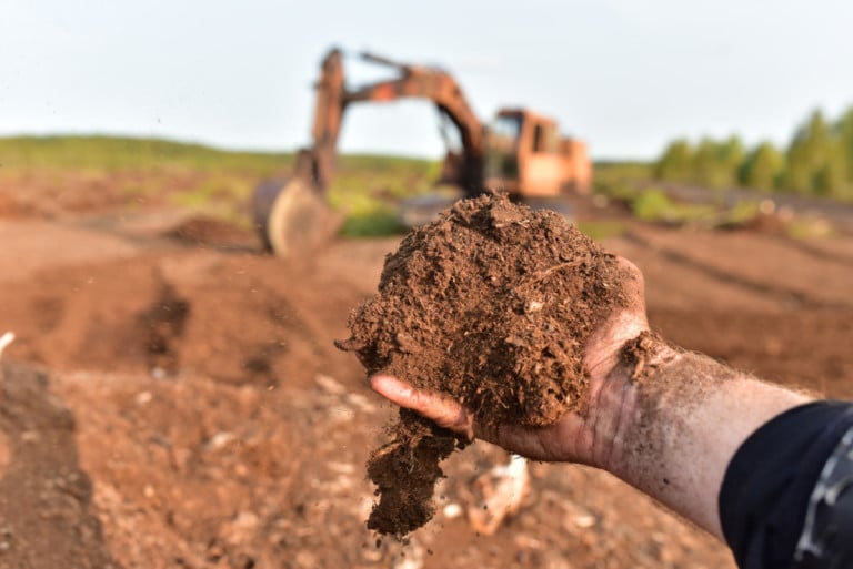 Stop Using Peat Moss: 7 Eco-Friendly Alternatives You Need to Try