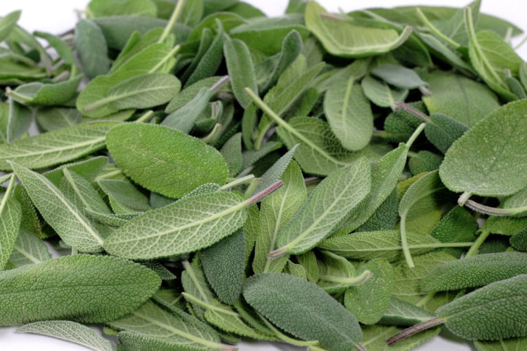 14 Creative Uses for Sage Leaves You Need to Try
