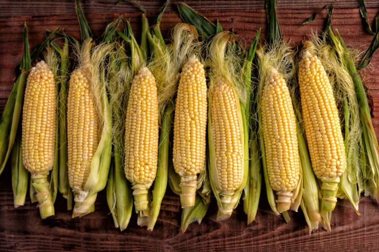 20 Must-Try Creative and Tasty Sweet Corn Recipes